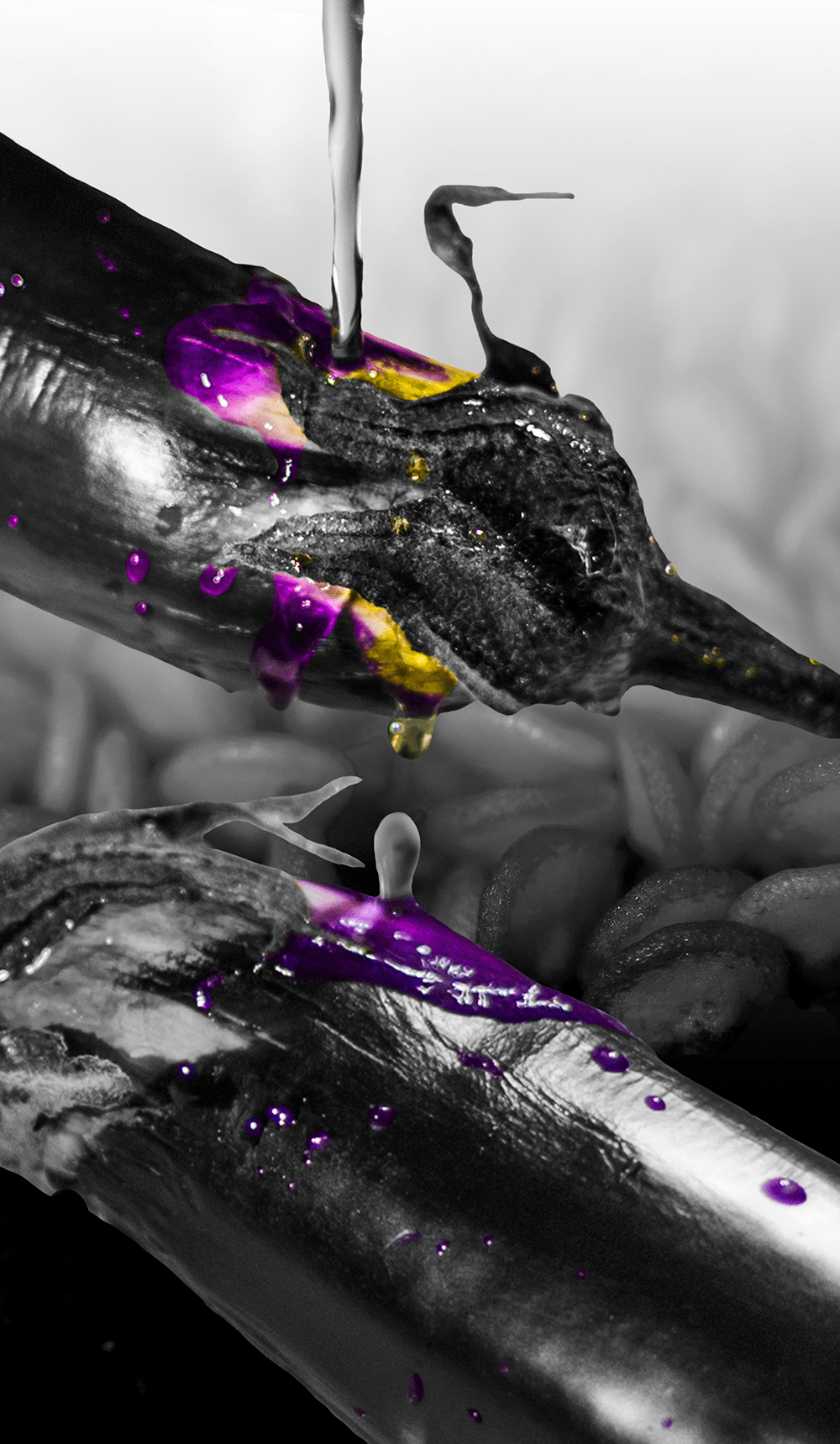 Photography 9